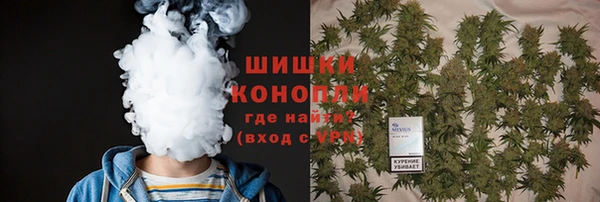 мдпв Богородицк