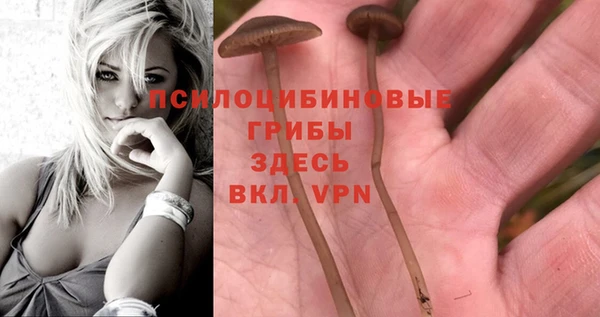 мдпв Богородицк