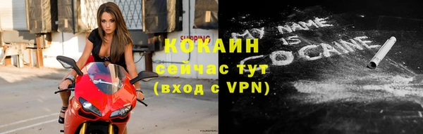 мдпв Богородицк