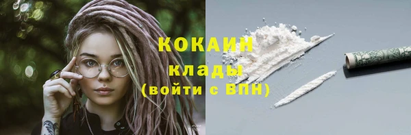 мдпв Богородицк