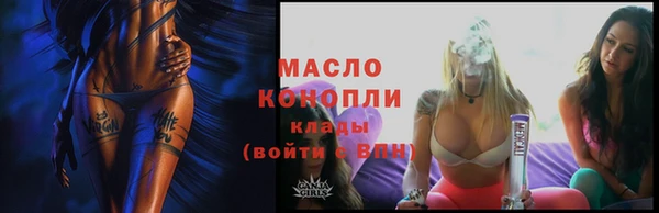 мдпв Богородицк