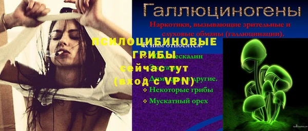 герыч Богородск