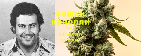 герыч Богородск