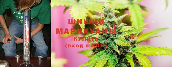мдпв Богородицк